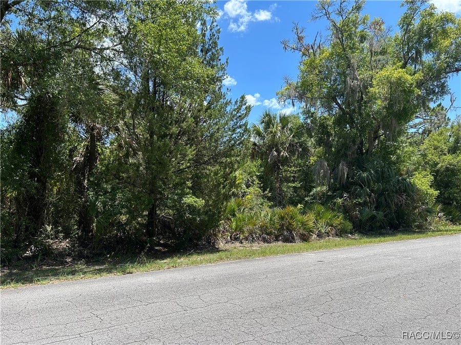 Property photo for 10257 N Coco Plumosa Drive, Crystal River, FL