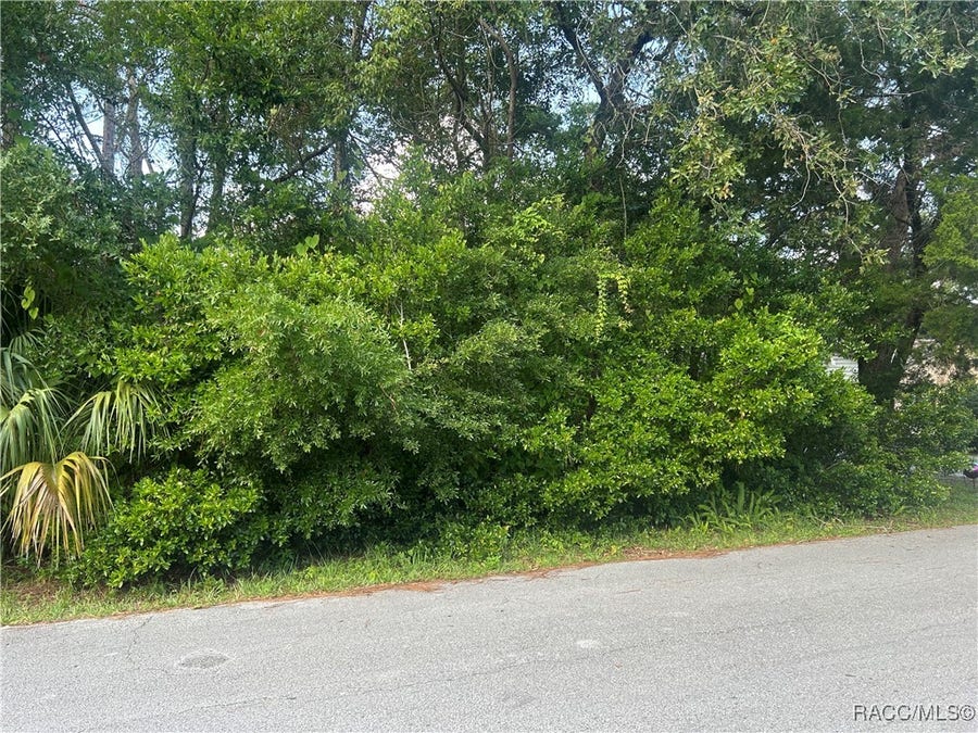 Property photo for 11 Jamaica Street, Homosassa, FL