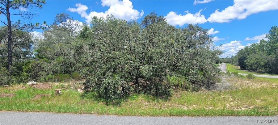 Property photo for 11250 N Ely Point, Dunnellon, FL