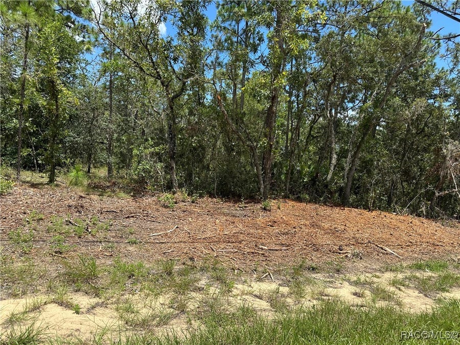 Property photo for 955 W Hampshire Boulevard, Citrus Springs, FL