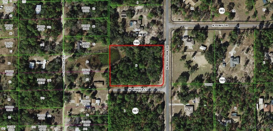 Property photo for 3368 N Buckhorn Drive, Beverly Hills, FL