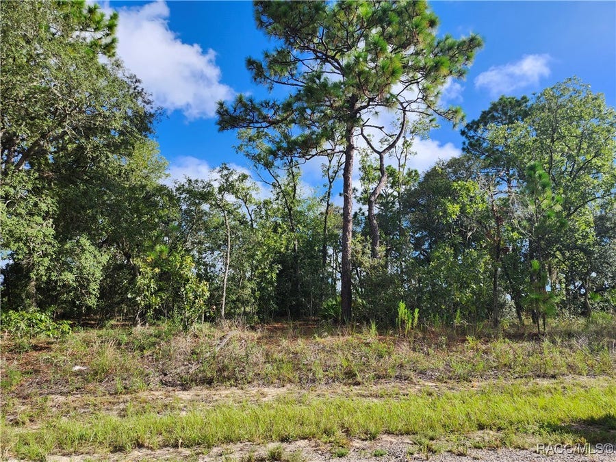 Property photo for 6731 N Darlington Drive, Dunnellon, FL