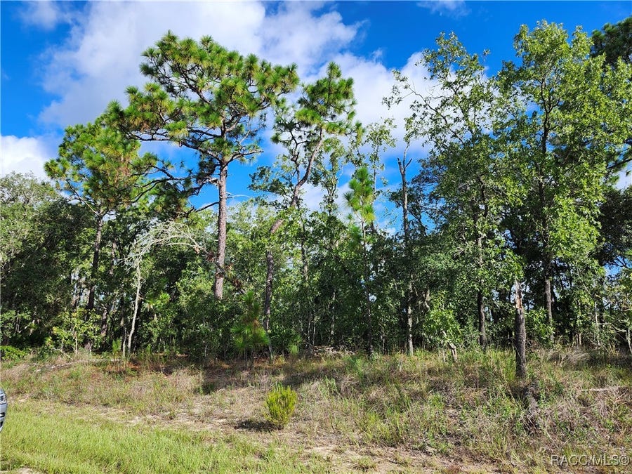 Property photo for 6741 N Darlington Drive, Dunnellon, FL