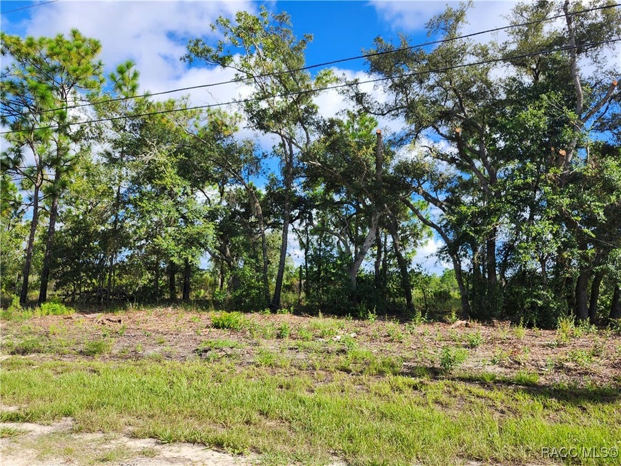 Property photo for 6715 N Darlington Drive, Dunnellon, FL