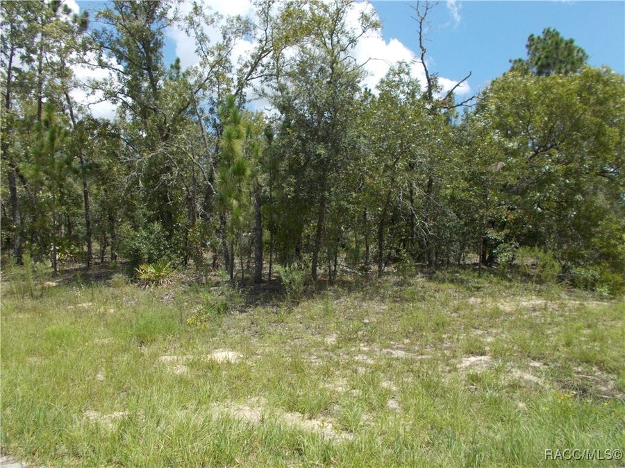 Property photo for 6751 N WATERFALL Terrace, Citrus Springs, FL