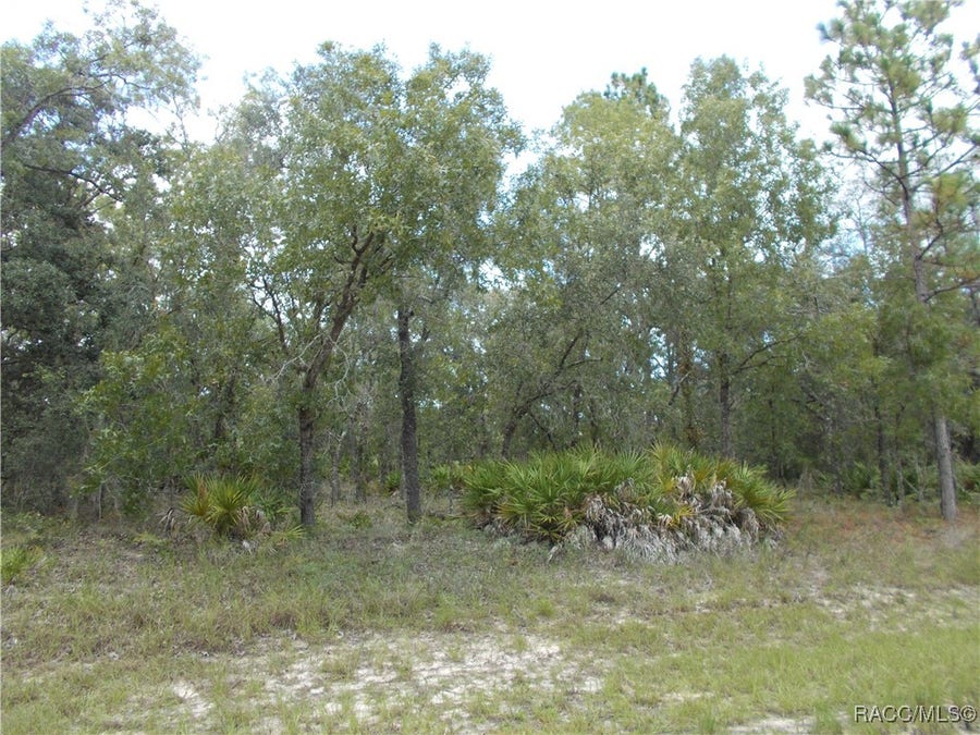 Property photo for 6667 N UNDERWOOD Drive, Citrus Springs, FL