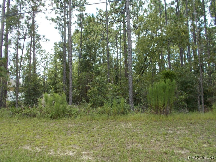 Property photo for 1168 W CITRUS SPRINGS Boulevard, Citrus Springs, FL
