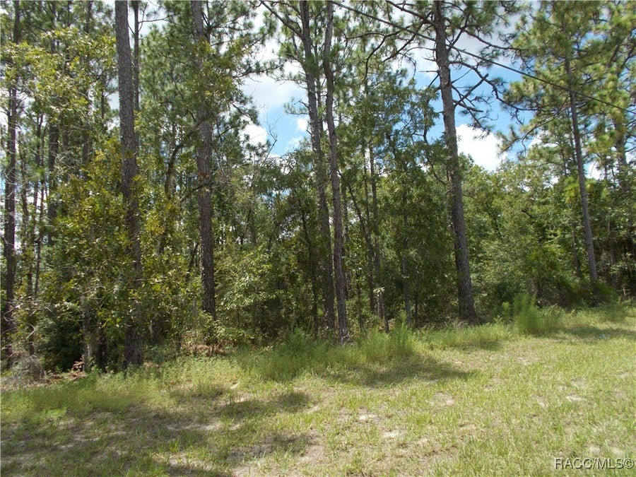 Property photo for 1152 W CITRUS SPRINGS Boulevard, Citrus Springs, FL