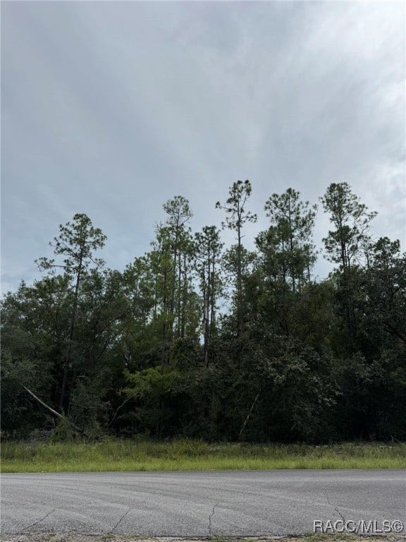 Property photo for 608 E Kingsdale Street, Citrus Springs, FL