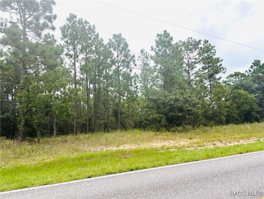 Property photo for 3995 W Hampshire Boulevard, Citrus Springs, FL