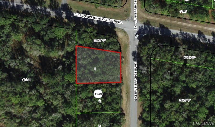 Property photo for 2177 E Citrus Springs Boulevard, Dunnellon, FL