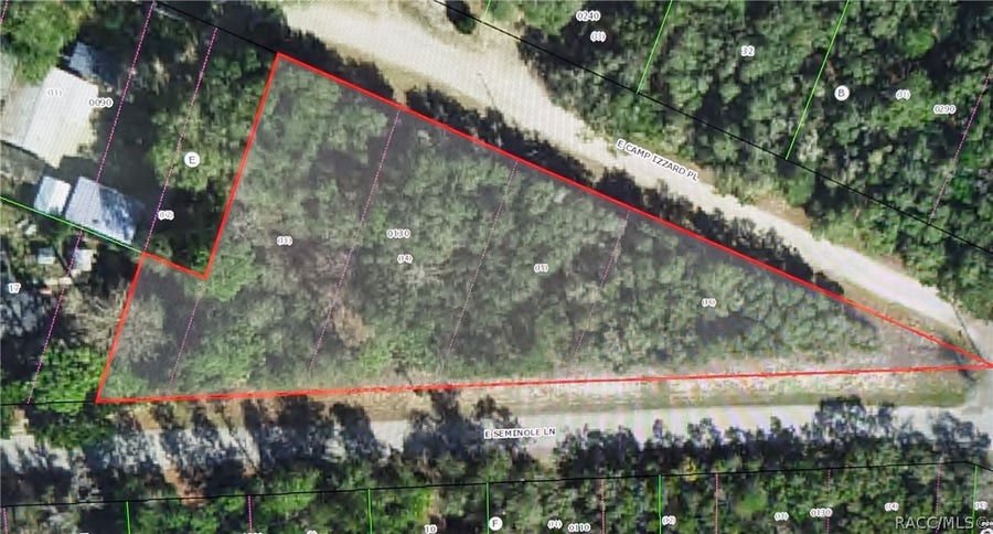 Property photo for 4114 E Camp Izzard Place, Dunnellon, FL