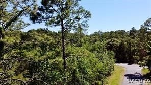Property photo for 8178 W Windhaven Place, Homosassa, FL