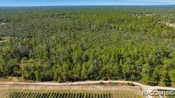 Property photo for 9478 N Timber Creek Terrace, Dunnellon, FL