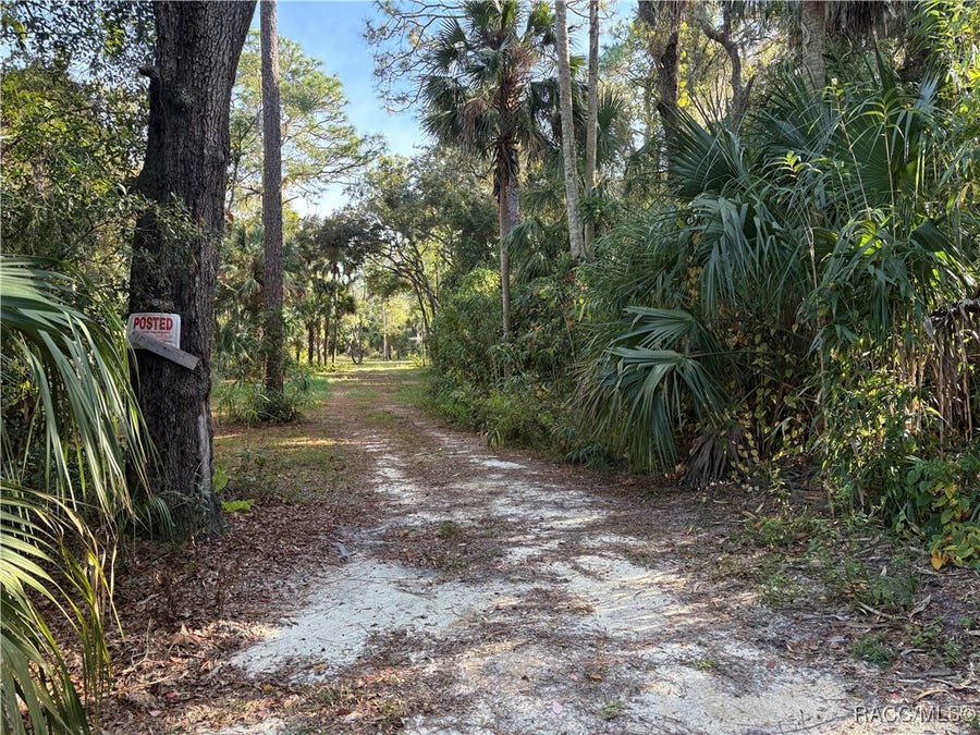 Property photo for 1751 S Palm Avenue, Homosassa, FL