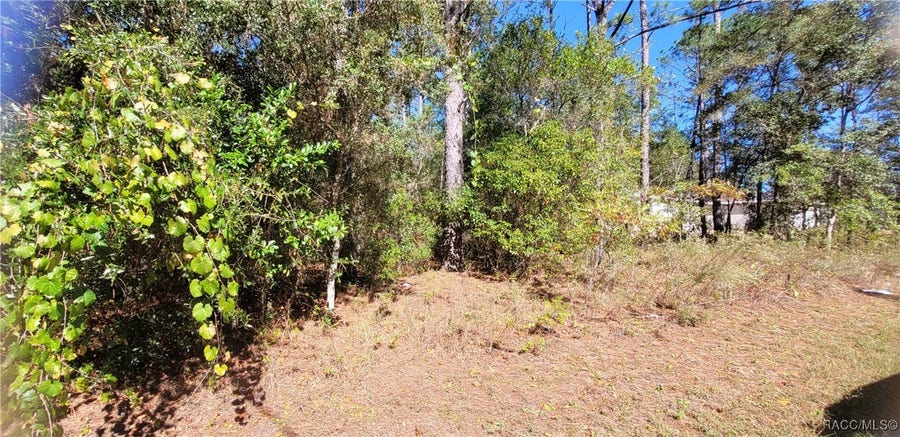 Property photo for 1837 W Water Lily Drive, Citrus Springs, FL