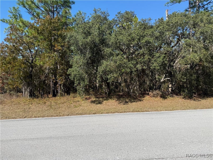 Property photo for 143 Cypress Boulevard E, Homosassa, FL