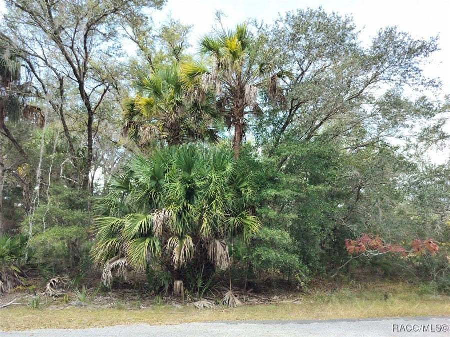 Property photo for 9999 N Snowball Point, Crystal River, FL