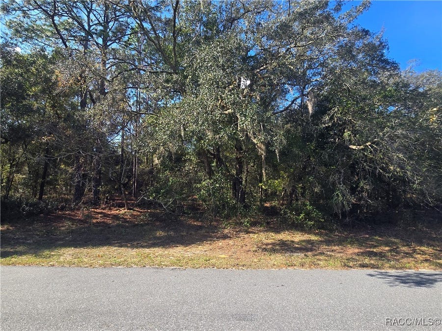 Property photo for 11370 N Ortega Point, Dunnellon, FL