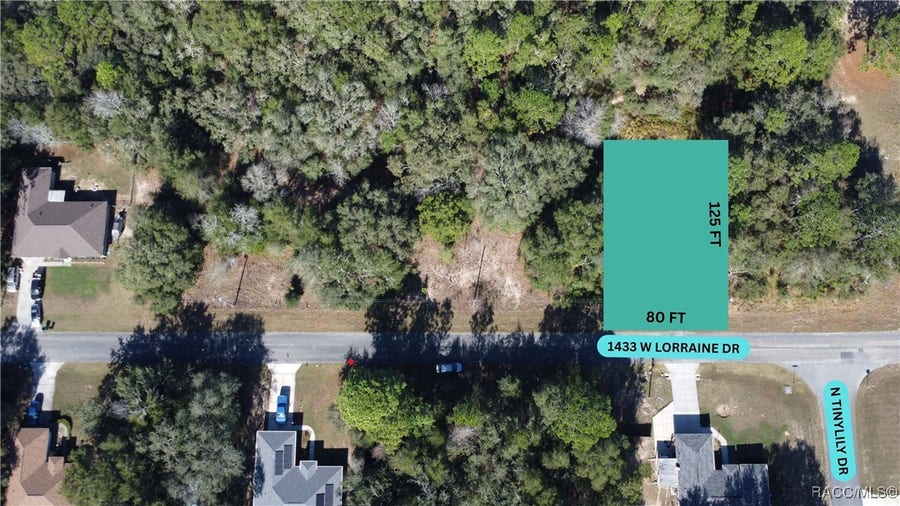 Property photo for 1433 W Lorraine Drive, Citrus Springs, FL