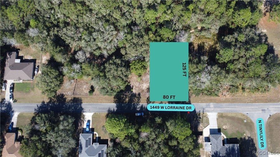 Property photo for 1449 W Lorraine Drive, Citrus Springs, FL