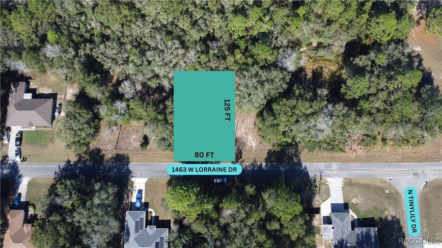 Property photo for 1463 W Lorraine Drive, Dunnellon, FL