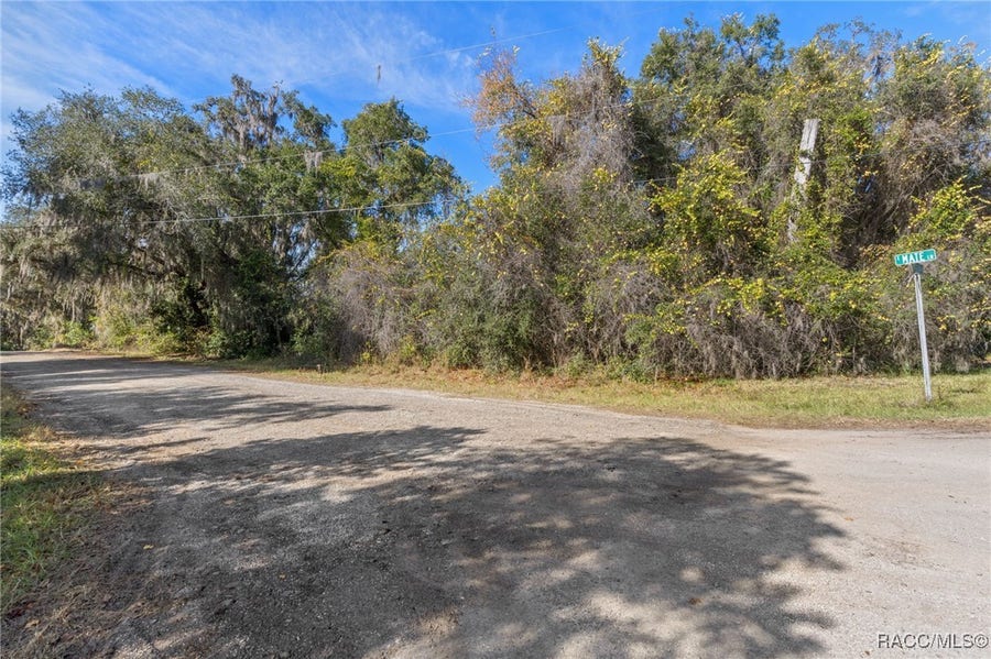Property photo for 4351 E Mate Lane, Hernando, FL