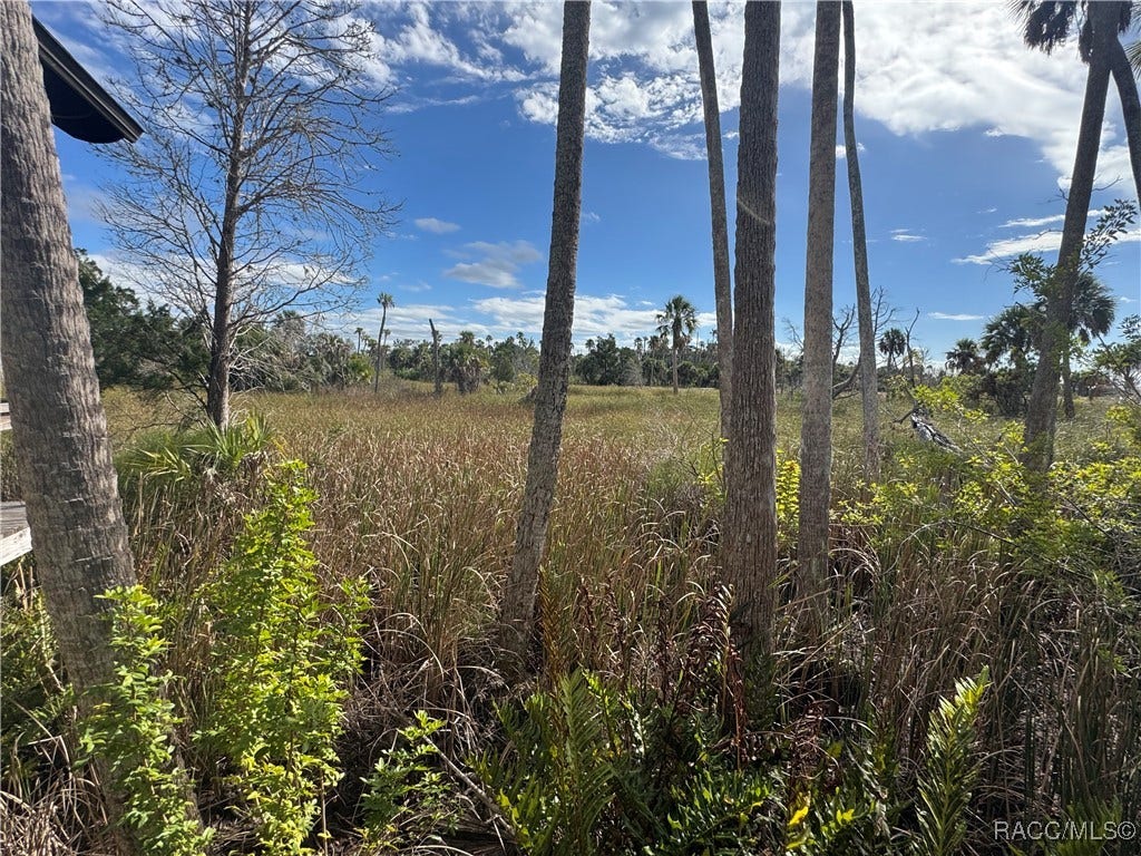 2649 N Seabreeze Point S, Crystal River, FL 34429 2649 N Seabreeze Point S, Crystal River, FL 34429