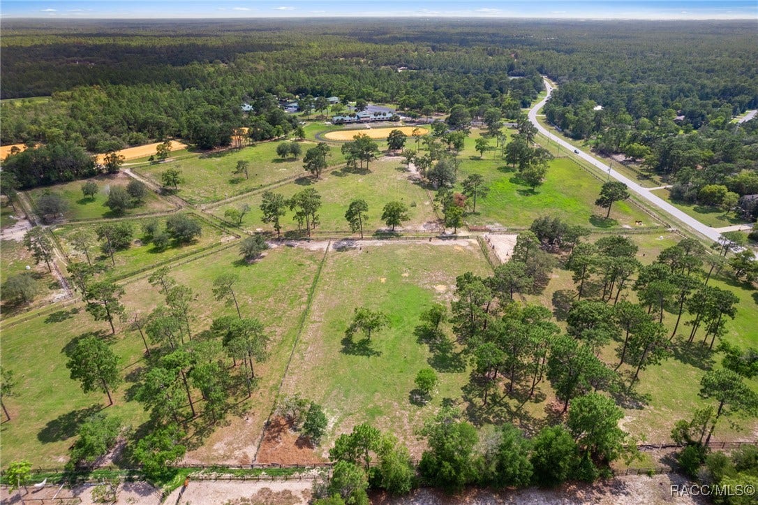 3135 N Buckhorn Drive, Beverly Hills, FL 34465