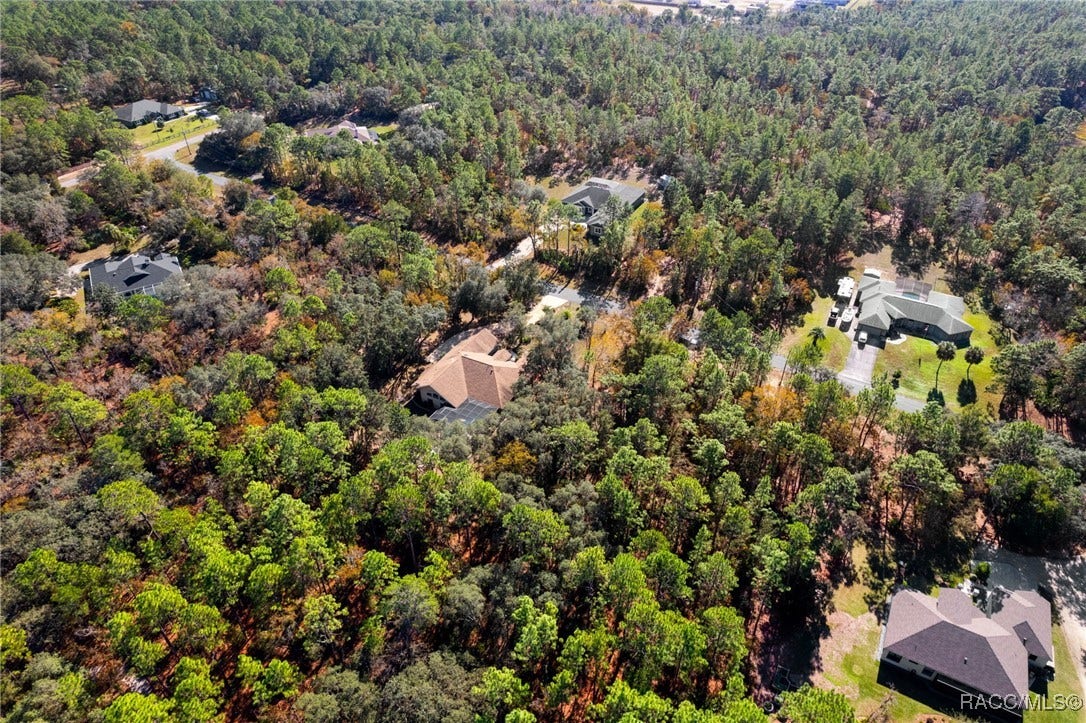 3135 N Buckhorn Drive, Beverly Hills, FL 34465