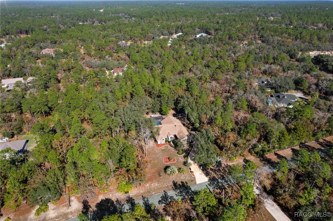 3135 N Buckhorn Drive, Beverly Hills, FL 34465