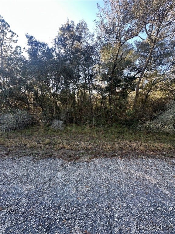 Property photo for 3908 W Tropic Lane, Dunnellon, FL