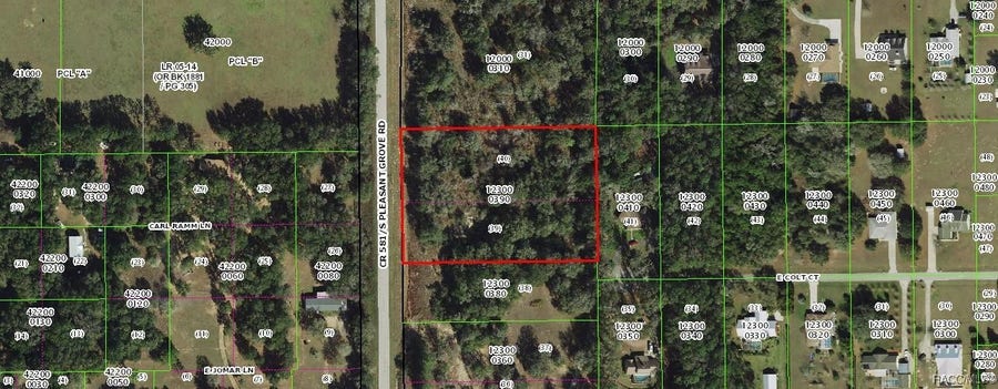Property photo for 8907 S Pleasant Grove Road, Inverness, FL