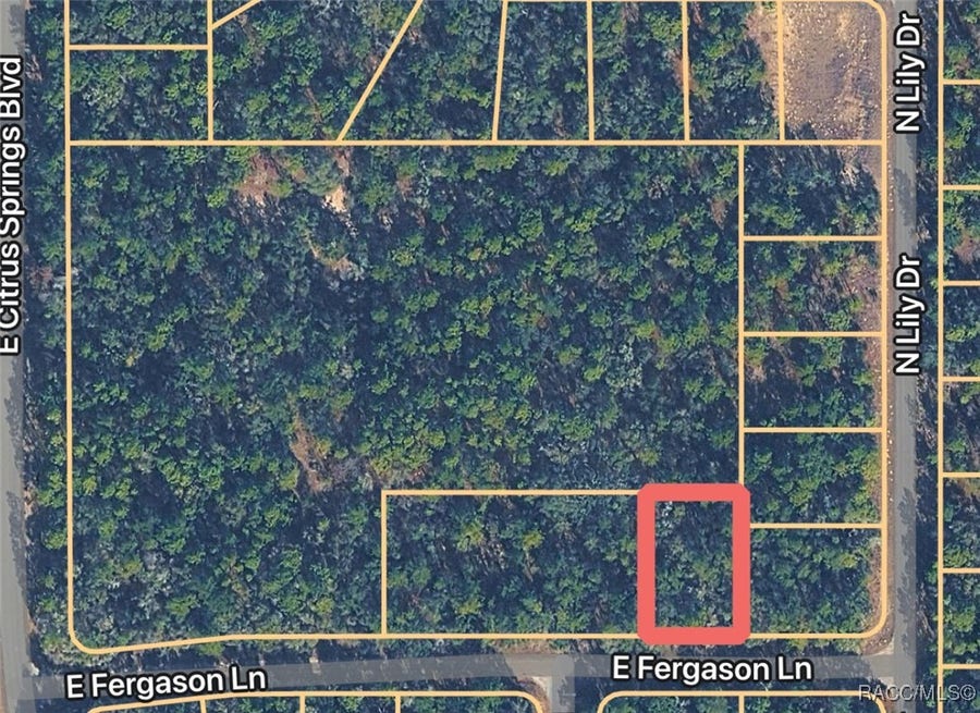 Property photo for 1409 E Fergason Lane, Citrus Springs, FL