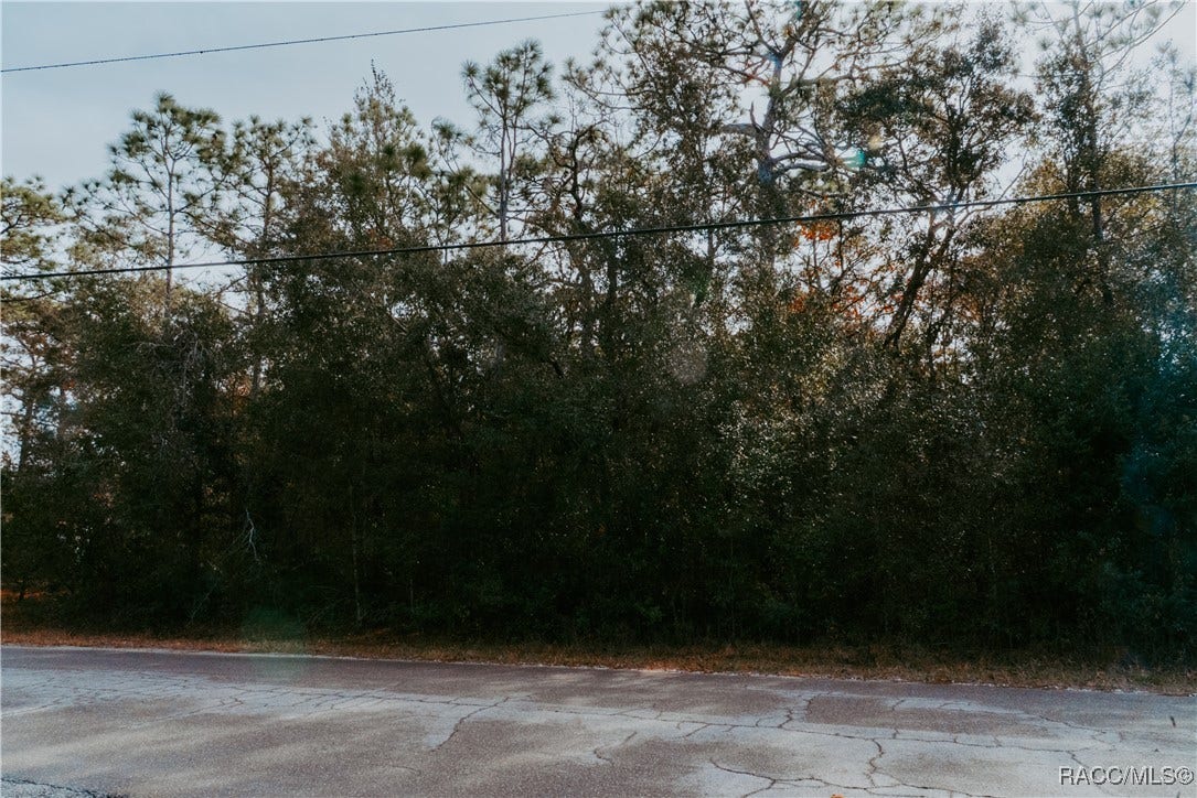 6004 W Monticello Street, Homosassa, FL 34448 6004 W Monticello Street, Homosassa, FL 34448