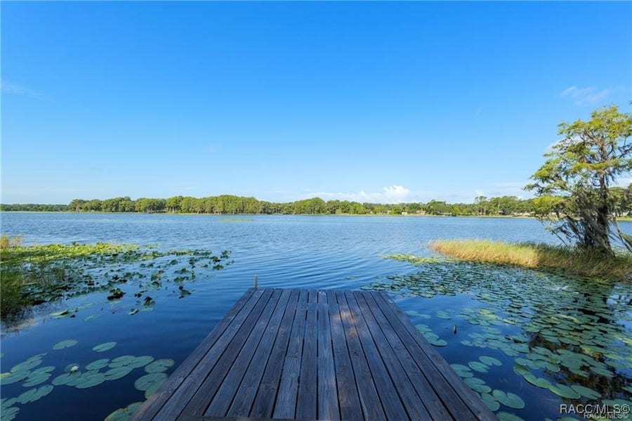 Property photo for 5870 N Briarcliff Terrace, Hernando, FL