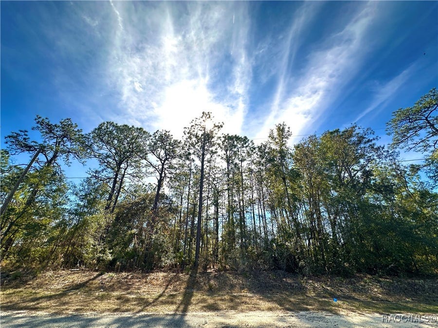 Property photo for 6914 N Heritage Drive, Citrus Springs, FL