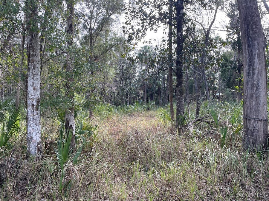 Property photo for 11106 W Townsend Lane, Homosassa, FL
