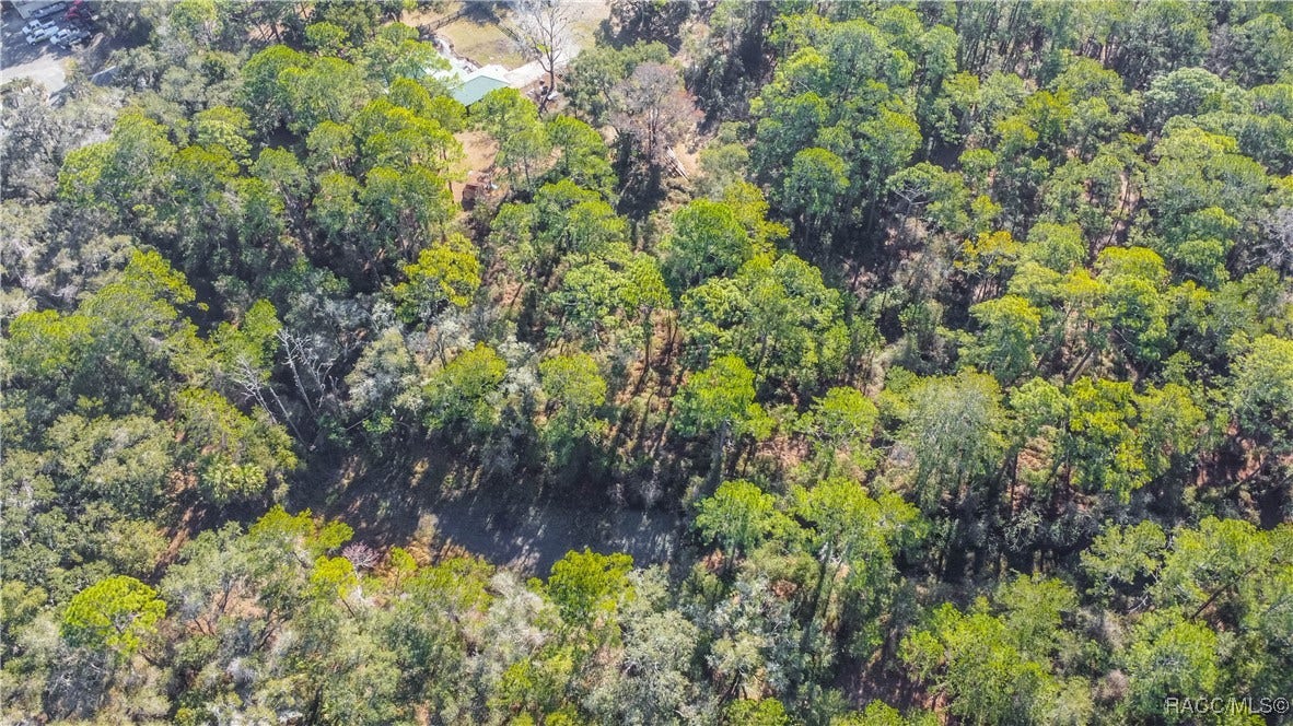 2319 W Wildflower Court, Dunnellon, FL 34434 2319 W Wildflower Court, Dunnellon, FL 34434