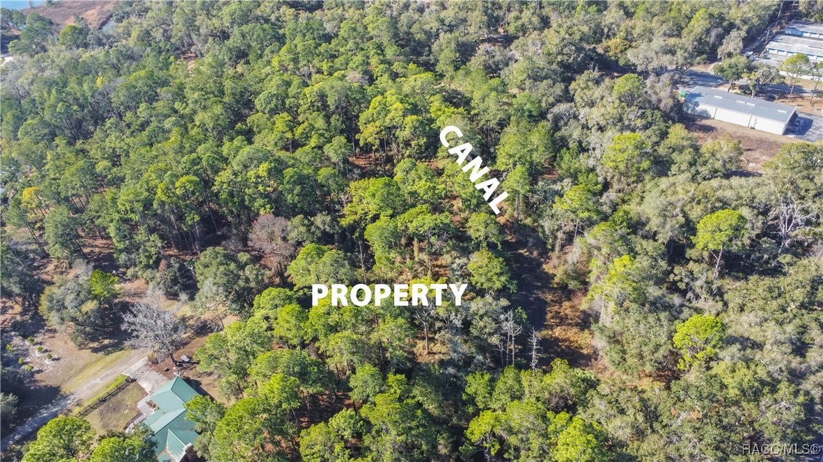 2319 W Wildflower Court, Dunnellon, FL 34434 2319 W Wildflower Court, Dunnellon, FL 34434
