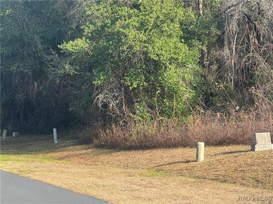 Property photo for 2564 E Chivalry Court, Hernando, FL