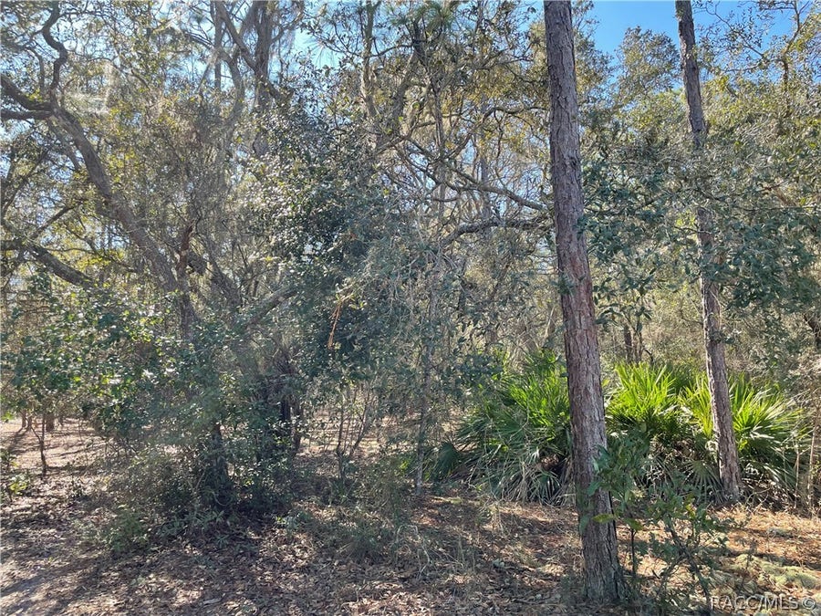 Property photo for 3770 Kingfisher Street, Inverness, FL