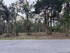 Property photo for 11905 W Eldred Lane, Homosassa, FL