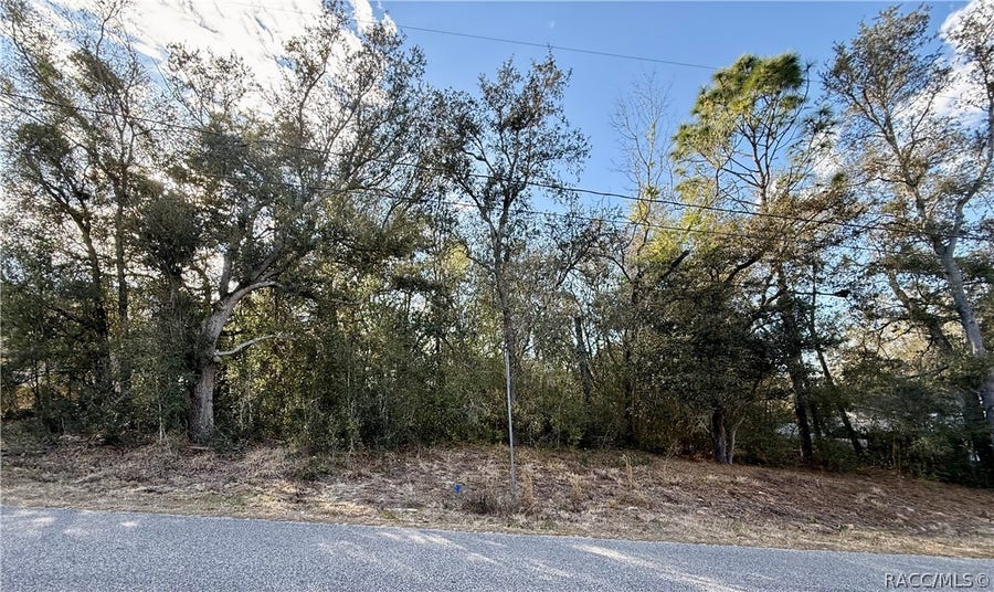 Property photo for 94 N West Avenue, Inverness, FL