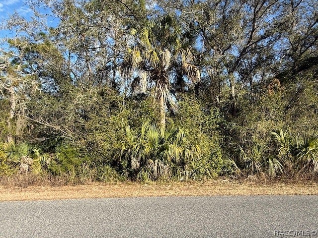 Property photo for 85 N West Avenue, Inverness, FL