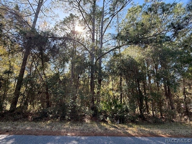 Property photo for 4280 E Nugget Pass Place, Dunnellon, FL