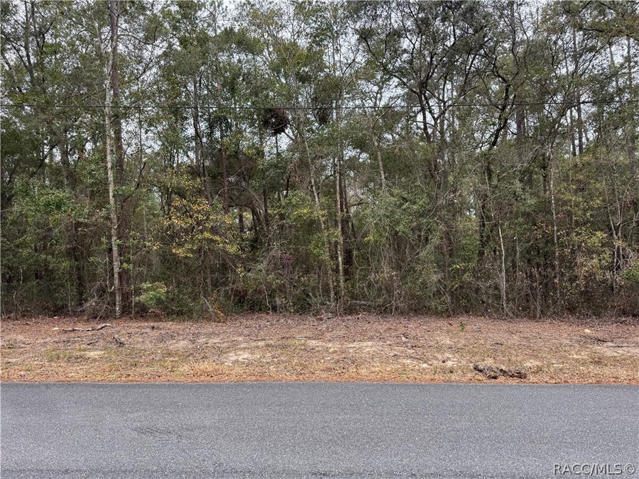 Property photo for 10350 N Academy Drive, Citrus Springs, FL