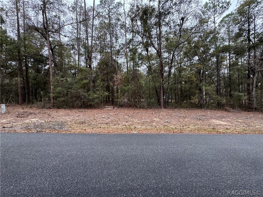 Property photo for 10364 N Academy Drive, Citrus Springs, FL