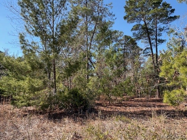 Property photo for 23 Tall Marigolds Court, Homosassa, FL