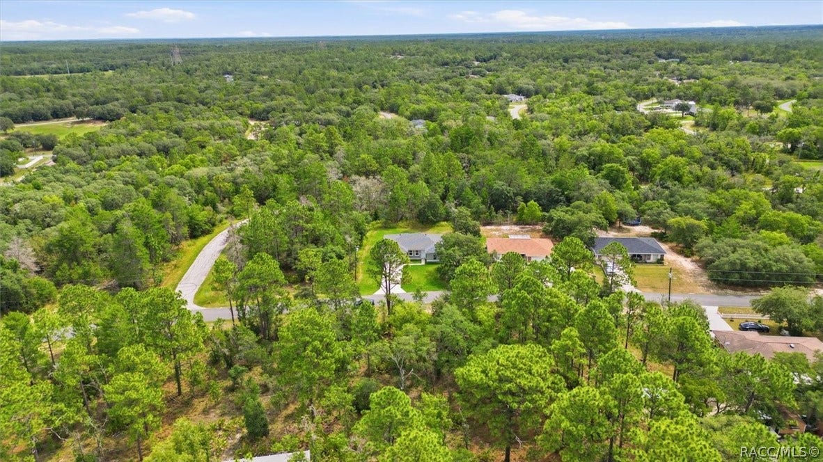 1569 W McNeal Drive, Citrus Springs, FL 34434 1569 W McNeal Drive, Citrus Springs, FL 34434